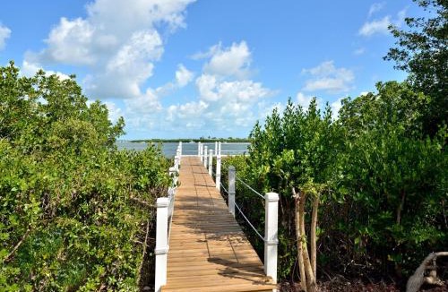Key West House | Havana Mango Compound