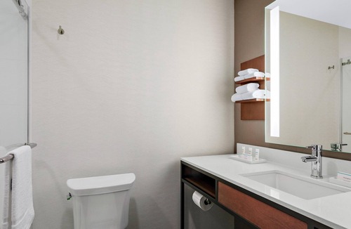 Near South Side Hotel | Hilton Garden Inn Chicago McCormick Place