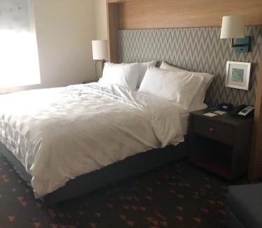 Mount Pleasant Hotel | Holiday Inn Hotel & Suites - Mount Pleasant by IHG