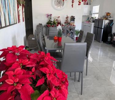 Hallandale Beach Hostel | HOSTEL Star