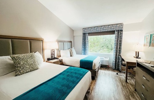 Key Largo Hotel | Island Retreat Near Dolphin Encounters With Bayside Pool | 3 Units