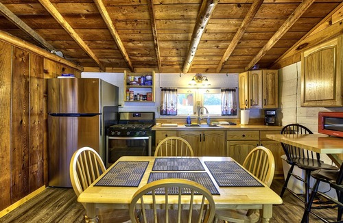 Levering Cabin | Lakefront Pet-Friendly Cabin w/Fire Pit