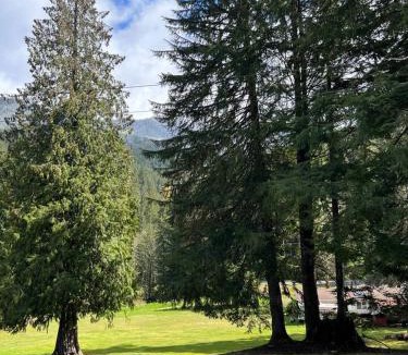 Ashford Other | Large Lodge at Rainier Lodge (0.4 miles from entrance)