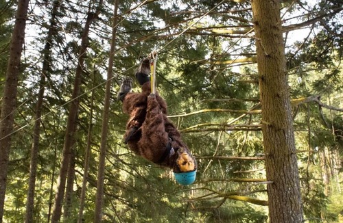 Stevenson House | Luxe Escapes: Glamping in Washington's Wilderness