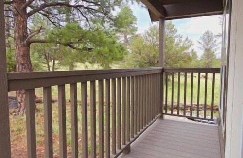Williams Cabin | Luxury Cabin with Mountain View 3B