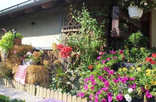 Bindernheim House | Maisonnette
