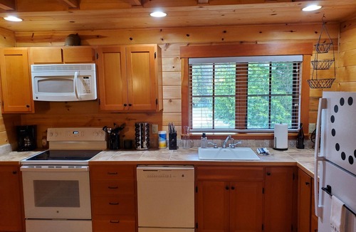 McKenzie Bridge Cabin | Mckenzie River Cabin 20 - Log Cabin Inn - Willamette National Forest