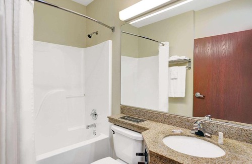 Wayne Hotel | Microtel Inn & Suites by Wyndham Indianapolis Airport