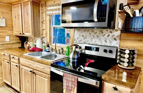 Brevard Cottage | Million Dollar View with Cedar Sauna, Hot Tub and Cold Plunge Tub