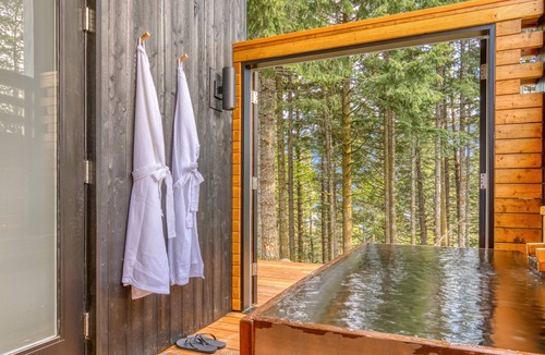 Stevenson Cabin | Modern cabin, views, geothermal hot tub, indoor steam sauna & deck