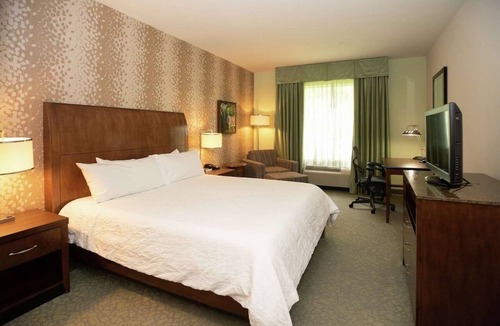 Covington Hotel | Modern Style Room Ideal for Memorable Louisiana Escapades - Perfect for Couples!