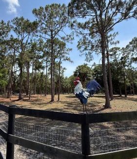 Indiantown House | Monarca Ranch