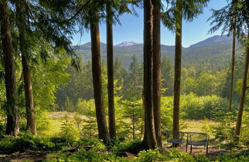 Sequim Cabin | Mountain Forest Cabin Near Olympic NP Wildlife EV Deck
