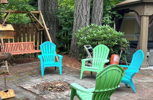 Packwood House | Mountain Frog Cabin - A.C./Sleeps 2/Hot Tub - 30 min. from Rainier/Skiing