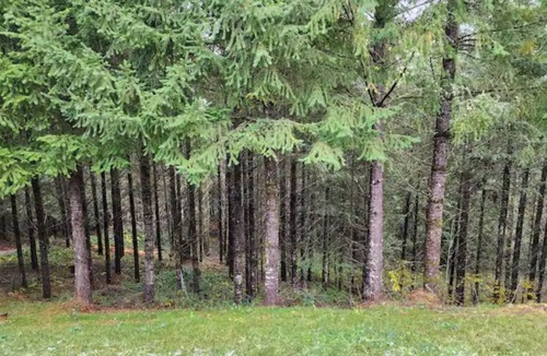 Monmouth House | Mountain top serenity. 4 bdrm 2 bath large acreage