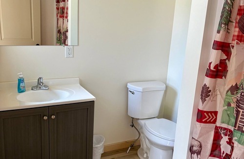 Oscoda Cabin | NEWLY RENOVATED! Cozy cabin with WiFi and AC in charming Oscoda
