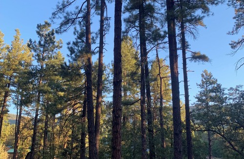 Payson Cabin | Newly updated bath! Indoor fireplace & Jacuzzi xtra room w kid cot; porch swing