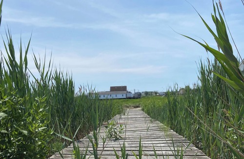 Broad Channel Cabin | NY Summer Escape — your off-grid garden on the bay