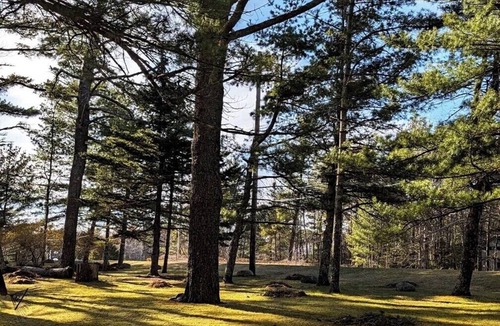 Bar Harbor Cabin | Our Comfortable Cabin with Two Bedrooms Cabin 6