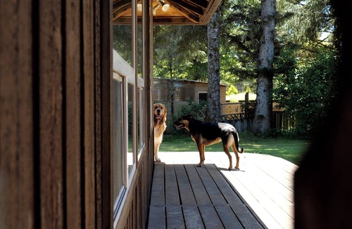 Tierra Del Mar House | Paws Under the Pines: hot tub, steps to beach, stocked kitchen, no pet fees!