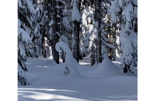 Bend Cabin | Peaceful Cabin convenient 10 min to downtown and easy access to route to skiing