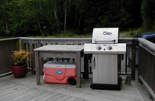 Seaside Cabin | Peaceful cabin, large deck, bonfire pit, pond, creek, dog friendly, cornhole.