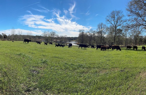 Lucedale Apartment | Peaceful Country Escape Near Lucedale 2 BR 1Bath on Private Family Farm