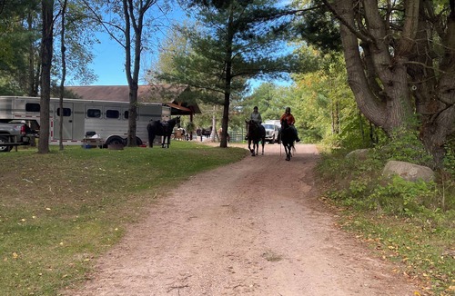 Mountain Cabin | Perfect for Couples, Pet Friendly, Wildlife Theme, Log Cabin, Fireplace
