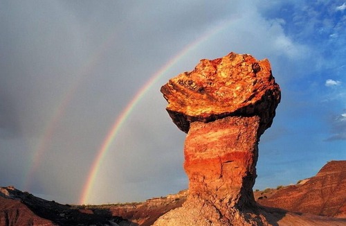 Holbrook RV Rental | Petrified Forest Campground Raw barren Land