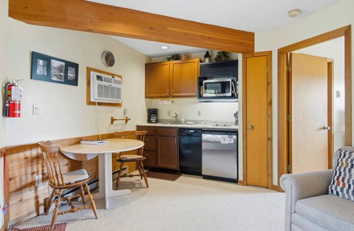Mancelona Condo | Playing Hookie at Schuss