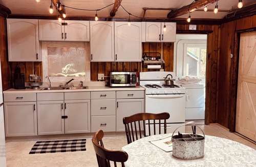 Greenbush Cabin | Private 2 Bedroom Pet Friendly Cabin Escape w/Hot Tub in Greenbush, Michigan