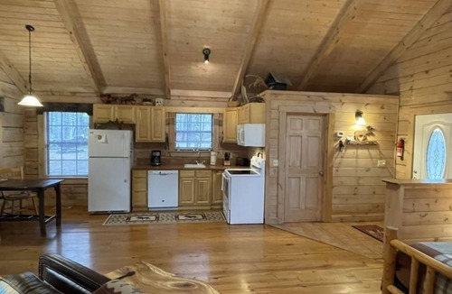 Tellico Plains Cabin | Private and Perfect! - hot tub, king bed, fireplace - dog and motorcycle friendly Studio Cabin by RedAwning