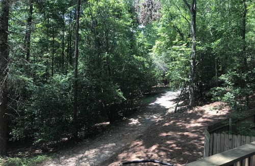 Blue Ridge Cabin | Quiet /Private Cabin Pet Friendly Near Blue Ridge /Sandy Bottoms /Aska