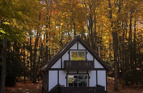 Harbor Springs House | Relax at the Cozy Cabin, just a 5-min drive to it all