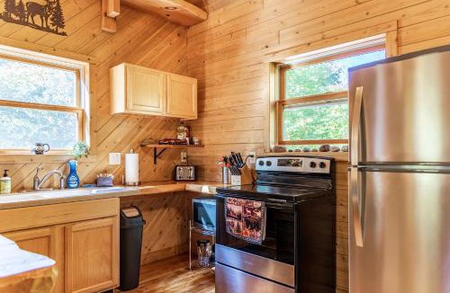 Grand Marais House | Rustic Cabin Retreat with Firepit & Aurora Skies in Grand Marais, Michigan
