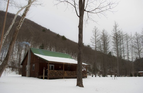Driftwood Cabin | Rustic Getaway In The Heart Of The Pennsylvania Elk Range