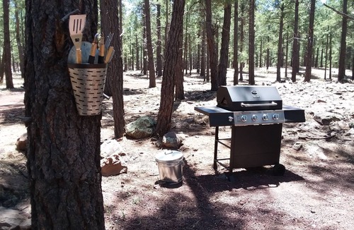 Parks Cottage | Secluded, Historic Wrigley Ranch Cabin- Pine Forest- 25 Acres Near Grand Canyon