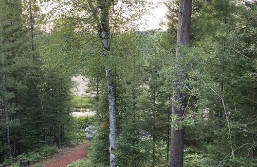 Mio House | Secluded Luxury Cabin Retreat On The "Ausable National Scenic River"