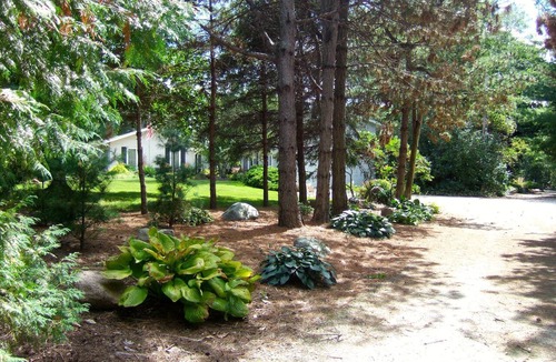 Ames House | Serene rural accommodations minutes away from Ames and Iowa State University