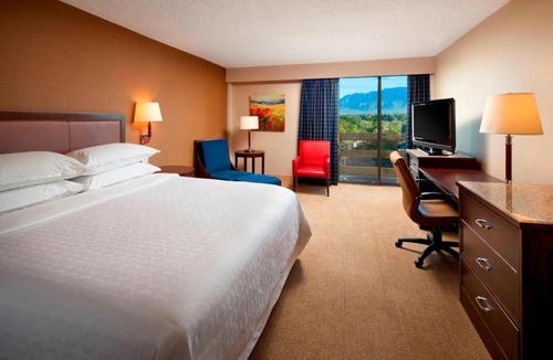 Uptown Hotel | Sheraton Albuquerque Uptown by Marriott