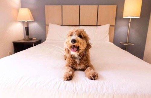 Schiller Park Hotel | Short Drive from Cernan Earth & Space Center! Kitchen, Free Airport Shuttle!