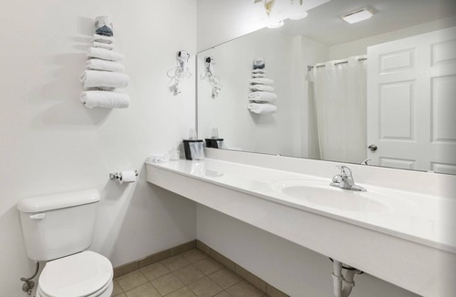 Red Bud Bed & Breakfast | Single King Suite with Free Breakfast and Parking!