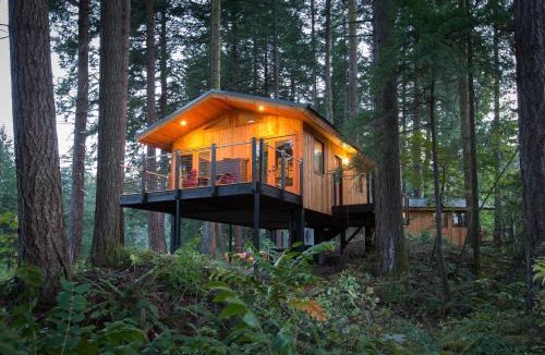 Stevenson Cabin | Skamania Lodge