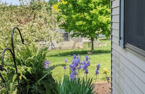 Shipshewana Bed & Breakfast | Songbird Haven #4 @ Miriam's Bed n Breakfast