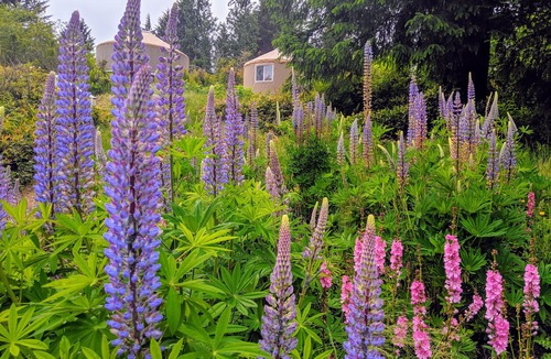 Florence Cabin | South Jetty RV & Camping Resort