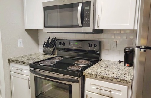 Astrodome Apartment | Spacious 2BR facing NRG Center/By Medical Center