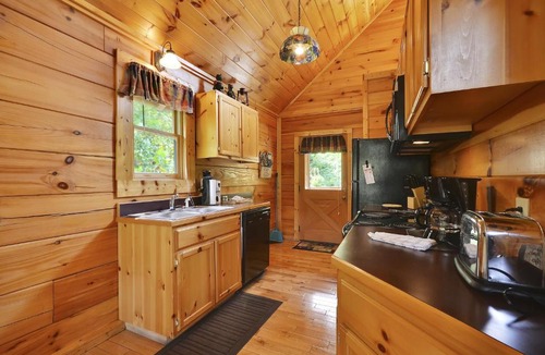 Pigeon Forge House | Spacious Cubby Bear Cabin
