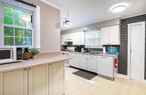 Ypsilanti House | Spacious Depot Town 6BR Multi-Unit!