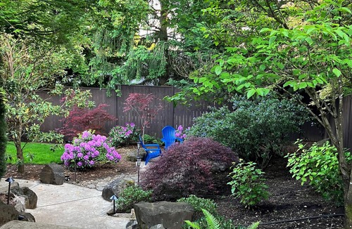 Dundee House | Spacious Single Party B&B – walking distance to downtown!