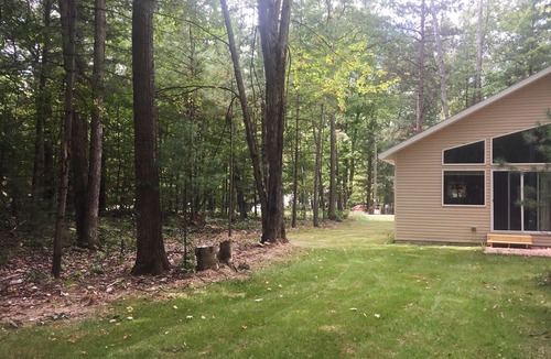 Traverse City House | Spacious Up North Cottage Nested in the Tall Timbers